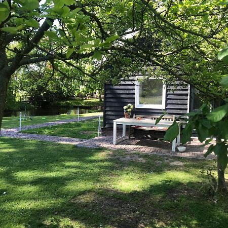 Ijsselmeer Lake Houses Andijk Bagian luar foto