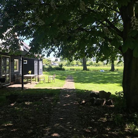 Ijsselmeer Lake Houses Andijk Bagian luar foto