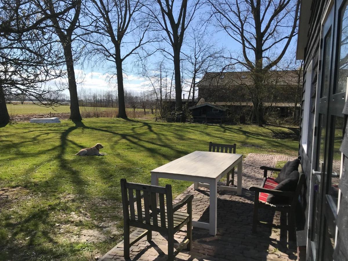 Ijsselmeer Lake Houses Andijk Bagian luar foto