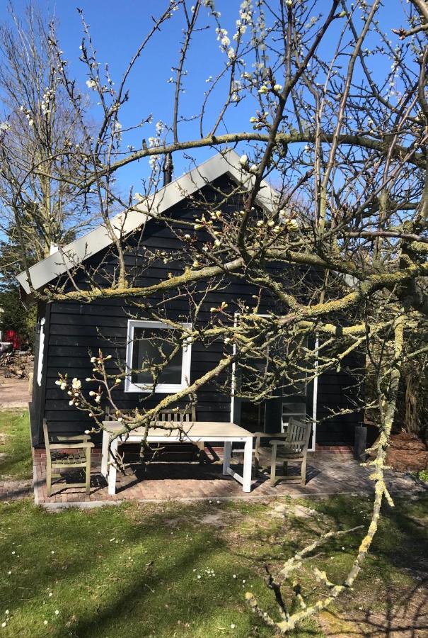 Ijsselmeer Lake Houses Andijk Bagian luar foto