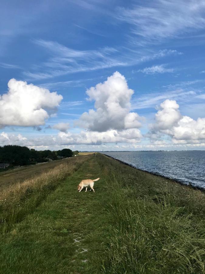 Ijsselmeer Lake Houses Andijk Bagian luar foto