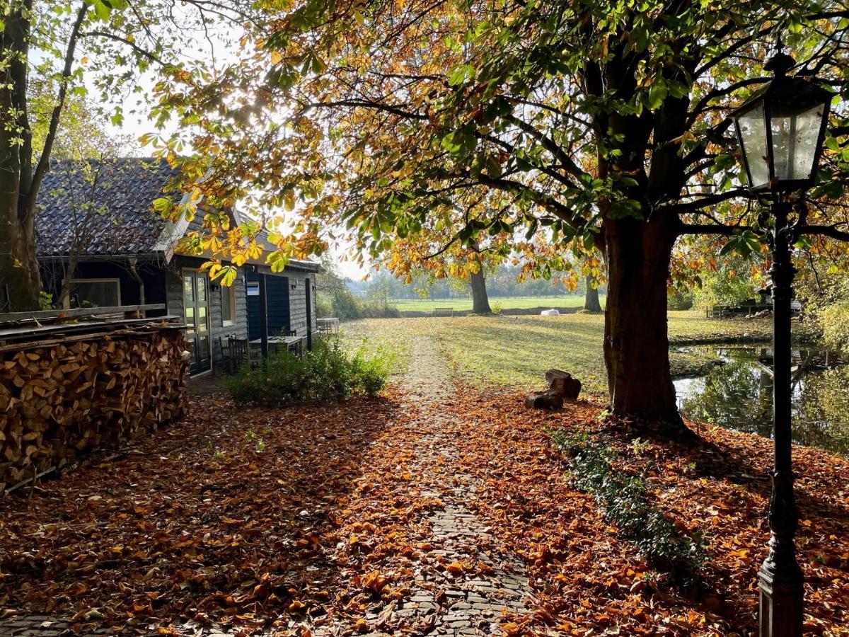 Ijsselmeer Lake Houses Andijk Bagian luar foto